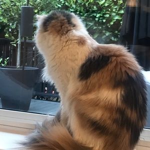 Meet your Posher, Del